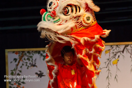 Lion dance-2011 Chinese New Year (Set)
