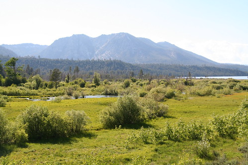 Meadow and Mountain
