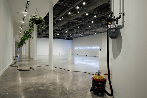 Installation view of Claire Fontaine : Economies at MOCA North Miami.