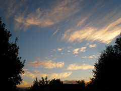 Evening sky