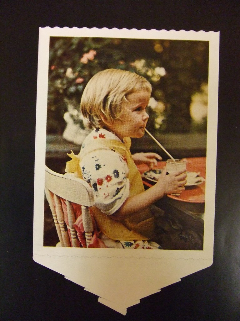 Polaroid catalog
