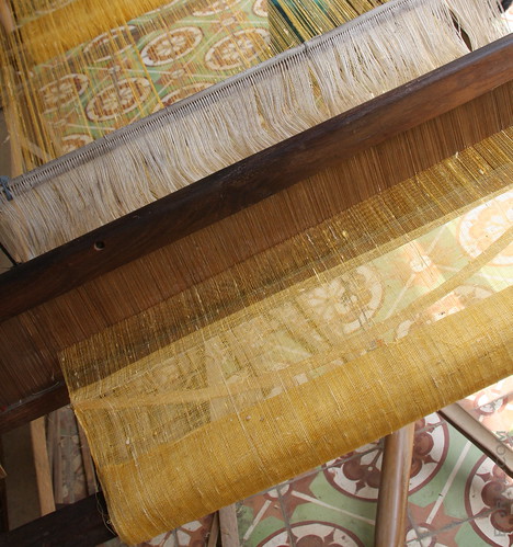 Raw Vietnamese Silk