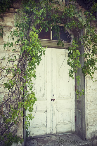 Church Door with Vines