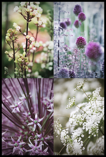 Flower - collage