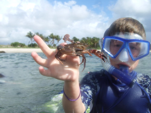 Jack catches a swimming crab