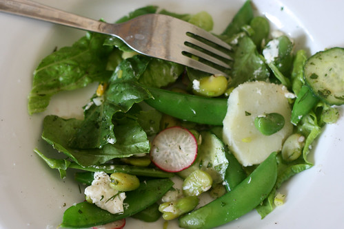 Broad bean and goats cheese salad with mint, dill and potato