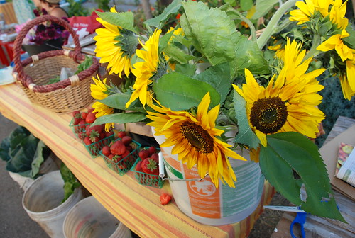 sunflowers and strawberries and lettuce