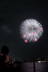 第23回東京湾大華火祭 白菊に紅小割浮模様