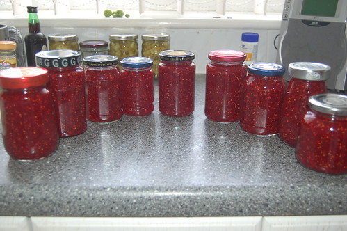 raspberry and rhubarb jam Aug 10