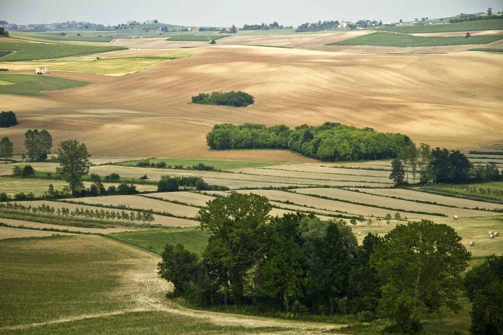 Countryside near Montemagno
