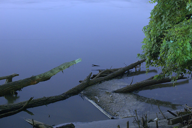 Night view of the Missouri River, in Saint Charles, Missouri, USA - tree trunks in river