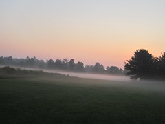 sunrise over a dewy field