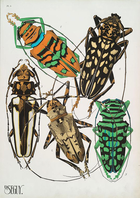 020-Insectes vingt planches en phototypie coloriées…1928- Eugene Alain Seguy