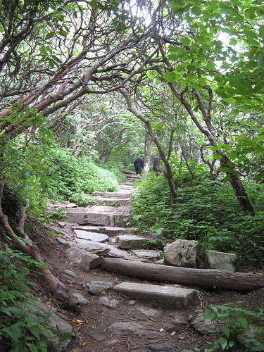 Craggy Pinnacle Trail