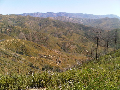 Upper Oso Trail (Los Padres National Forrest) in CA