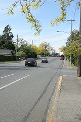 The great disappearing bike lane on Foul Bay Rd.