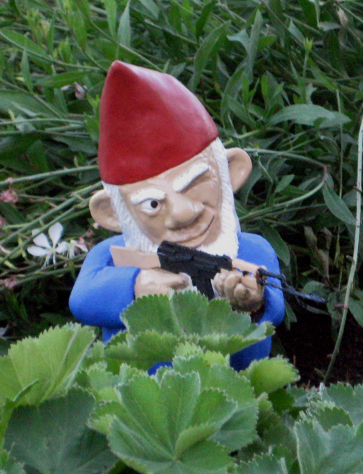 Garden Gnome Posed
