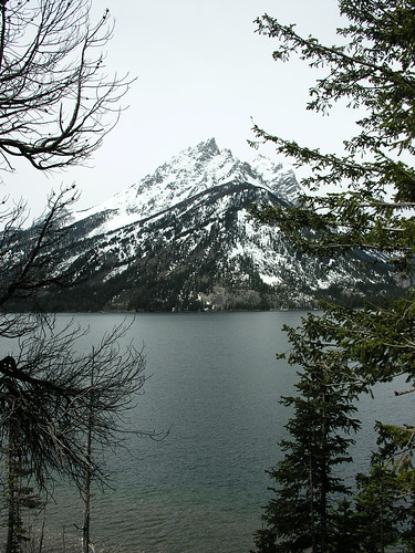 Another view of Jenny Lake