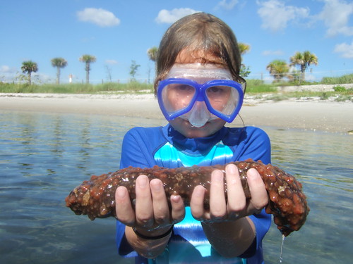 Mandy with a slimy sea cucmber