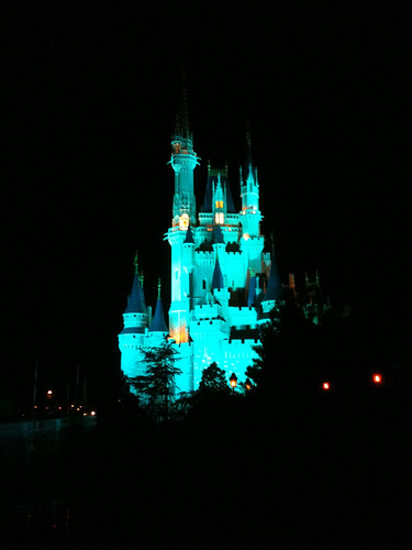 magic kingdom castle at night. Magic Kingdom castle at night
