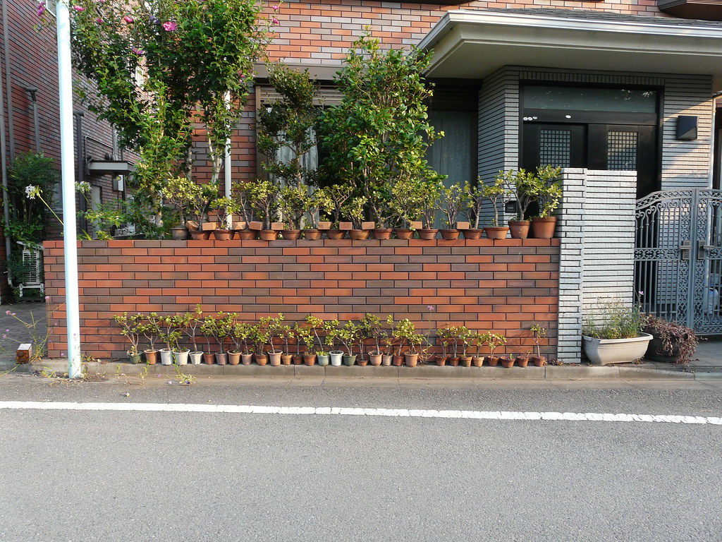 Potplants Secured with Bricks
