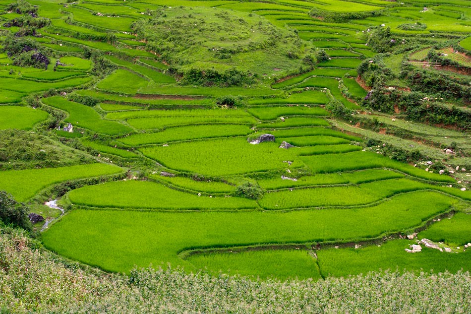 Travel Photos: The Amazing Rice Fields of Sapa, Vietnam