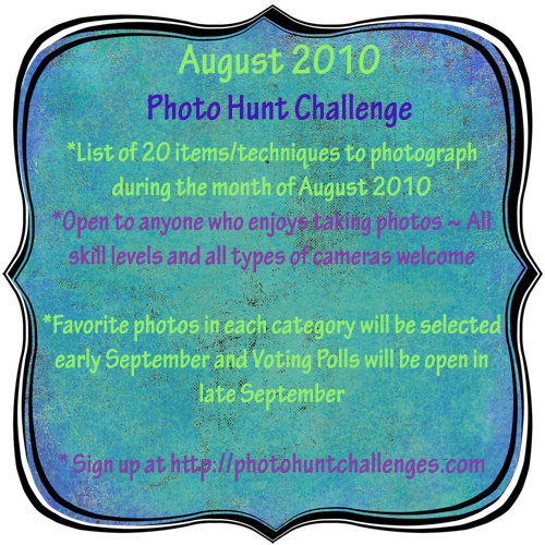 august2010-photohunt-badge