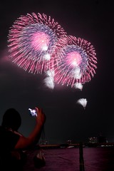 第23回東京湾大華火祭 八重芯菊先変化光露
