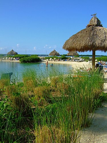 Hawk's Cay Resort and Marina