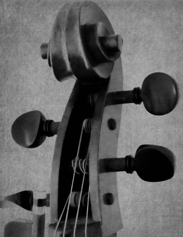 cello.jpg