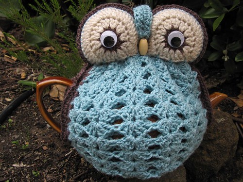 Robins Egg Blue Owl Tea Cosy