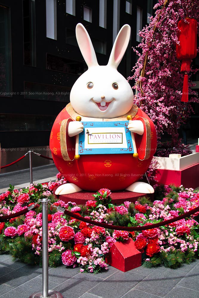 Happy Chinese New Year (Rabbit) @ KL, Malaysia