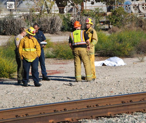 Man & Horse Fatally Injured by Train