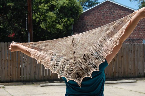 shawl's wingspan