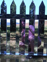 Alyson Shotz - Mirror Fence