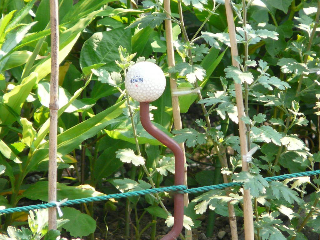 Golfer's Fence