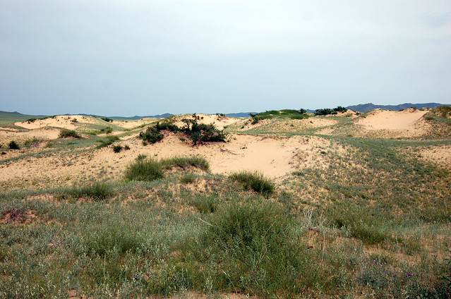Moltsog Sand Dune, Khustain National Park 哈斯台國家公園