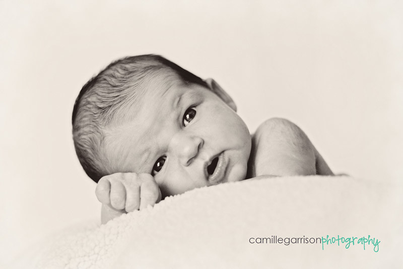 California Utah Newborn Photographer