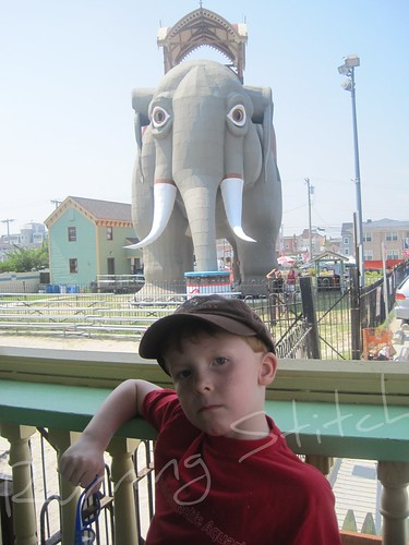 Joe Cool and his elephant