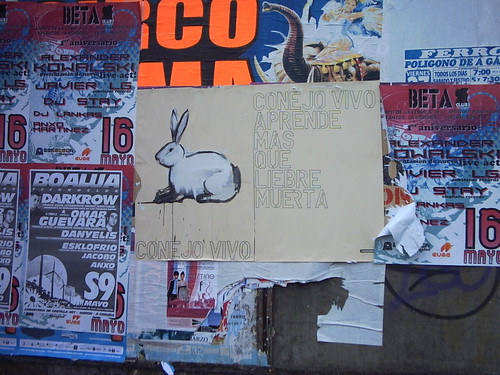 Conejo vivo aprende más que liebre muerta. Instalación urbana. by SUSO BASTERRECHEA