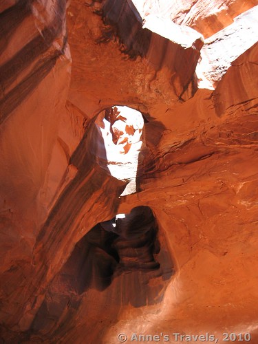 Potholes in the Golden Cathedral in Neon Canyon, Grand Staircase-Escalante National Monument, Glen Canyon Recreation Area, Utah