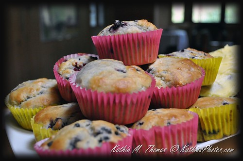 Fresh hot blackberry muffins