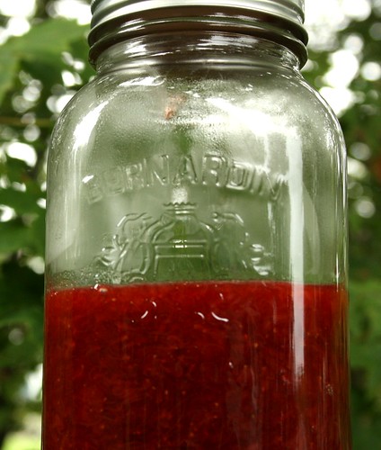 Strawberry Rhubarb Breadmaker Jam