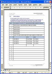 MS Word Work Instructions Template