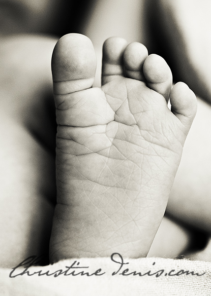 Baby Feet ~ Ottawa Newborn Photography