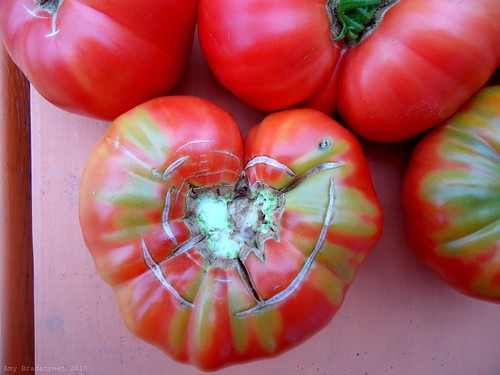 I <3 tomatoes