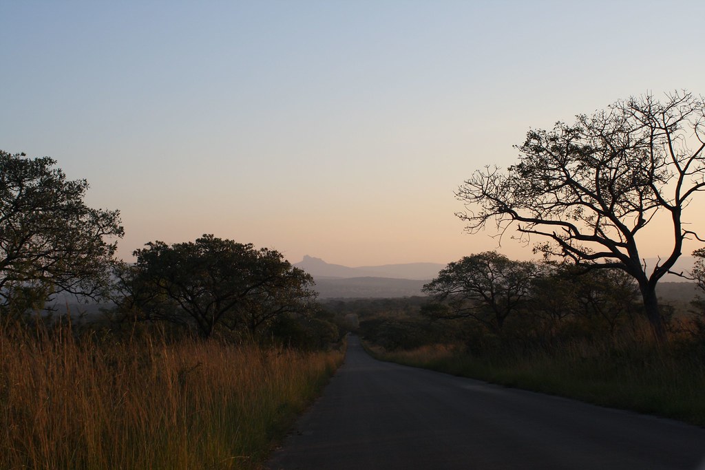 фото: Kruger Park