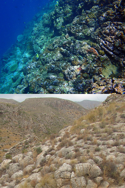 Comparación de un arrecife actual (Bali, Indonesia) y un arrecife fósil (Almería, España) - 02 por Banco de Imágenes Geológicas