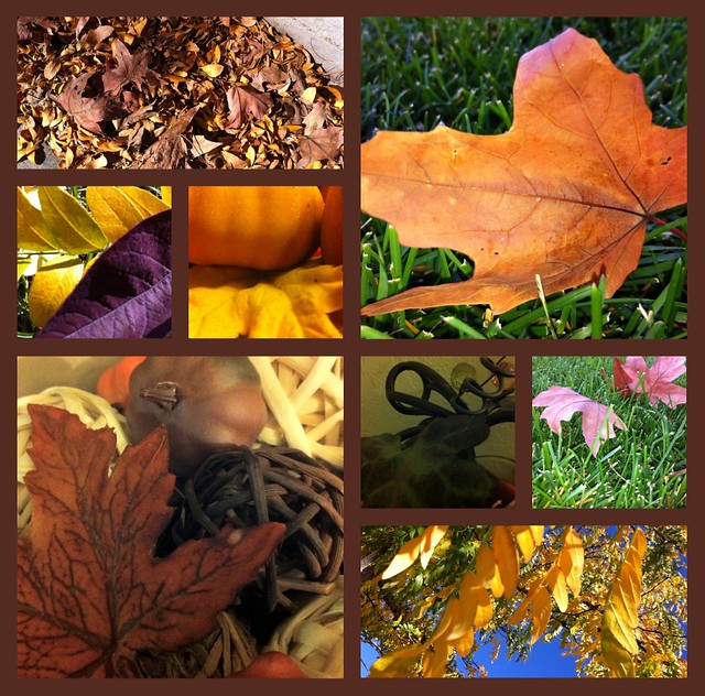 Fall1Collage