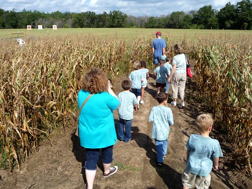 Corn Maze Field Trip